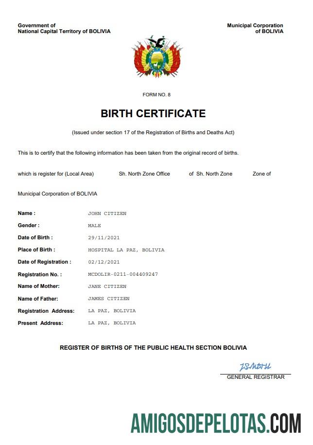 Para baixar modelo Word e PDF de certidão de nascimento de registro vital da Bolívia